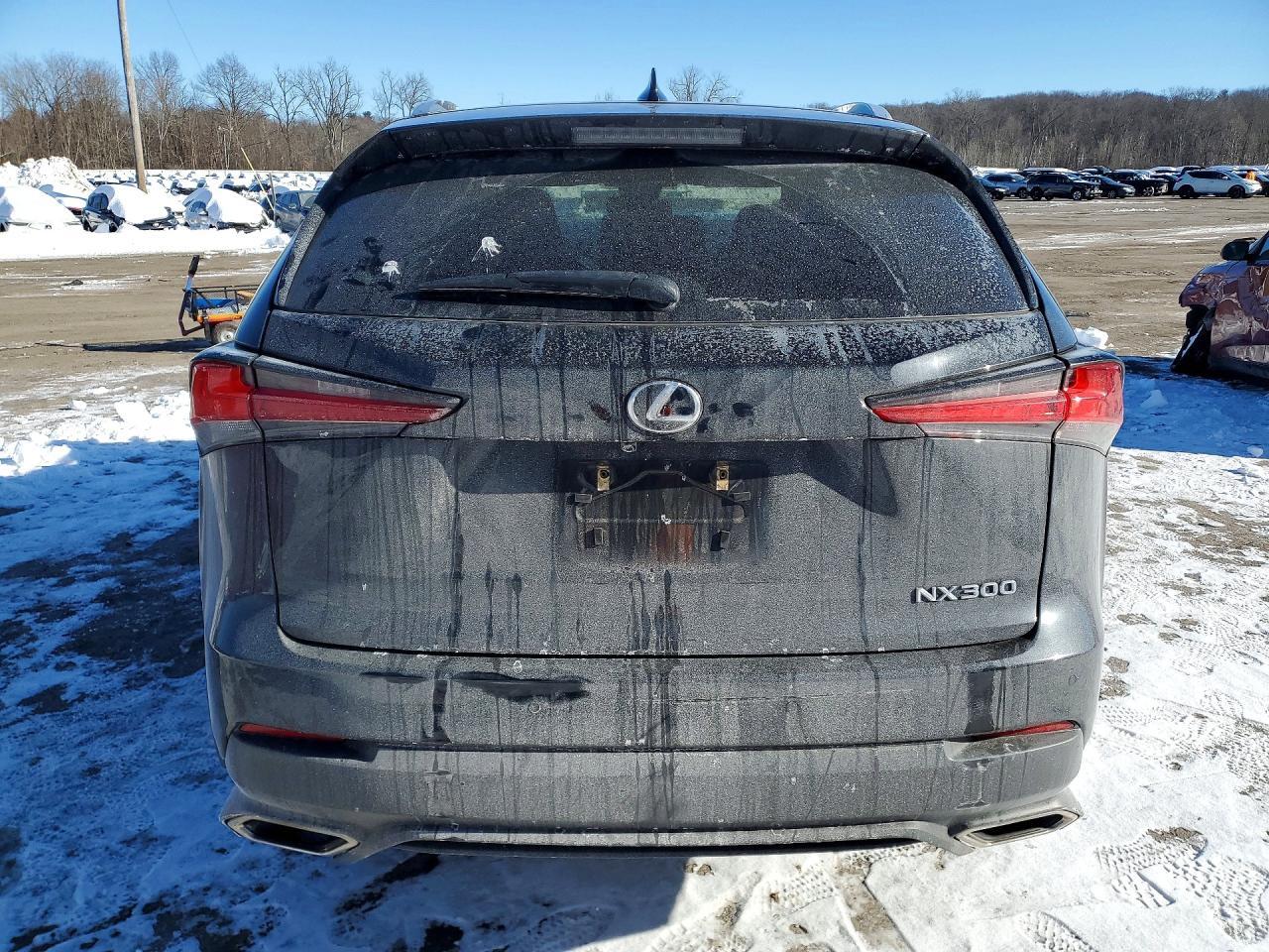 2019 LEXUS NX 300