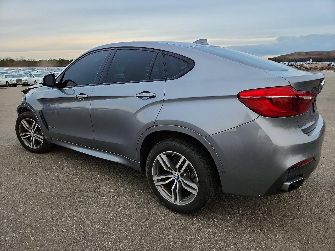 2019 BMW X6