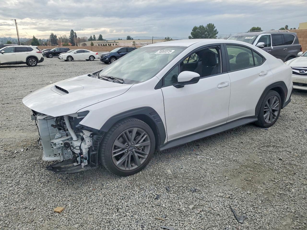 2024 SUBARU WRX