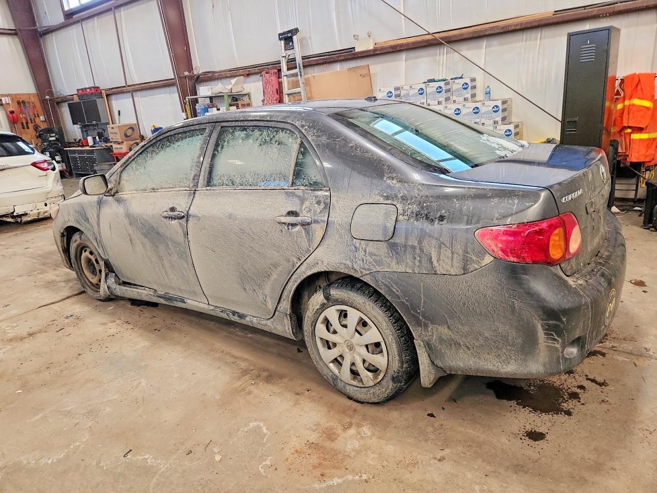 2010 TOYOTA COROLLA