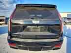 2023 CADILLAC ESCALADE