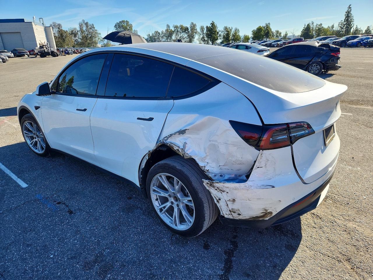 2021 TESLA MODEL Y