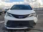 2024 TOYOTA SIENNA