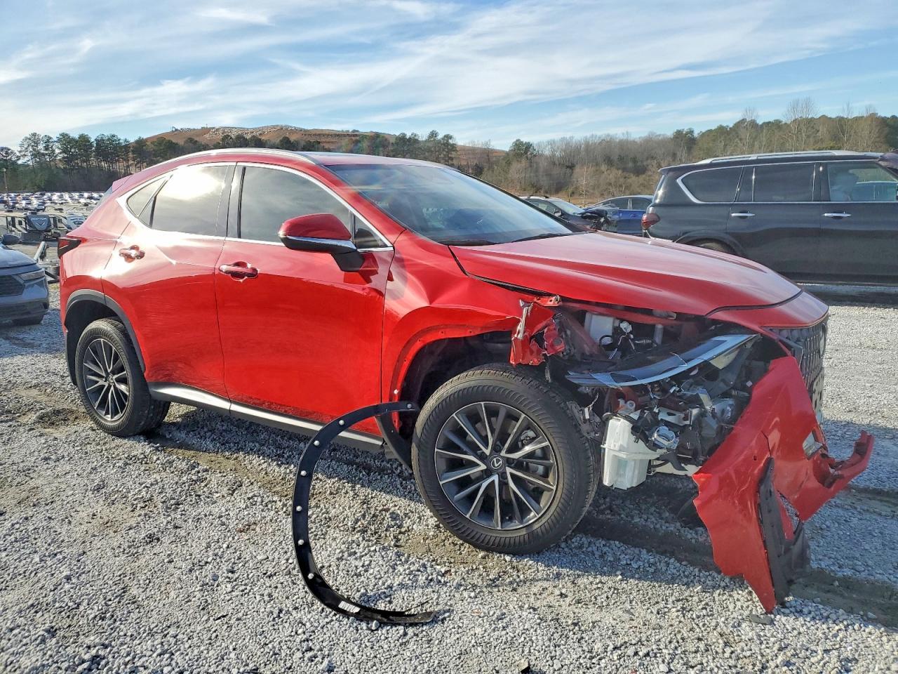 2024 LEXUS Nx