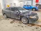 2006 ACURA TSX