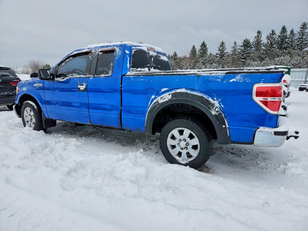 2009 FORD F-150