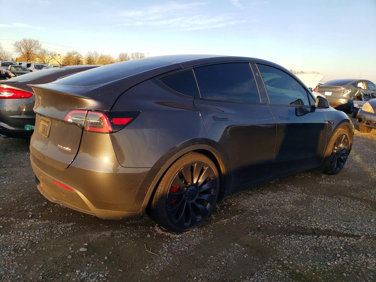 2024 TESLA MODEL Y
