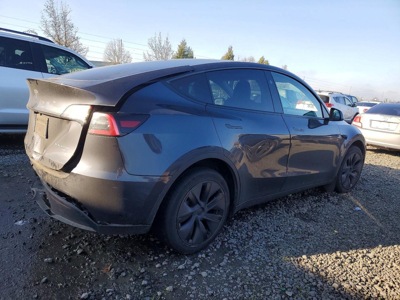 2025 TESLA MODEL Y