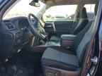 2024 TOYOTA 4Runner