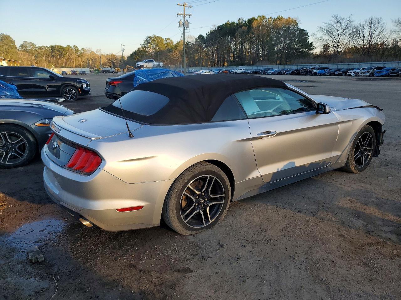 2019 FORD MUSTANG
