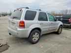 2006 FORD ESCAPE