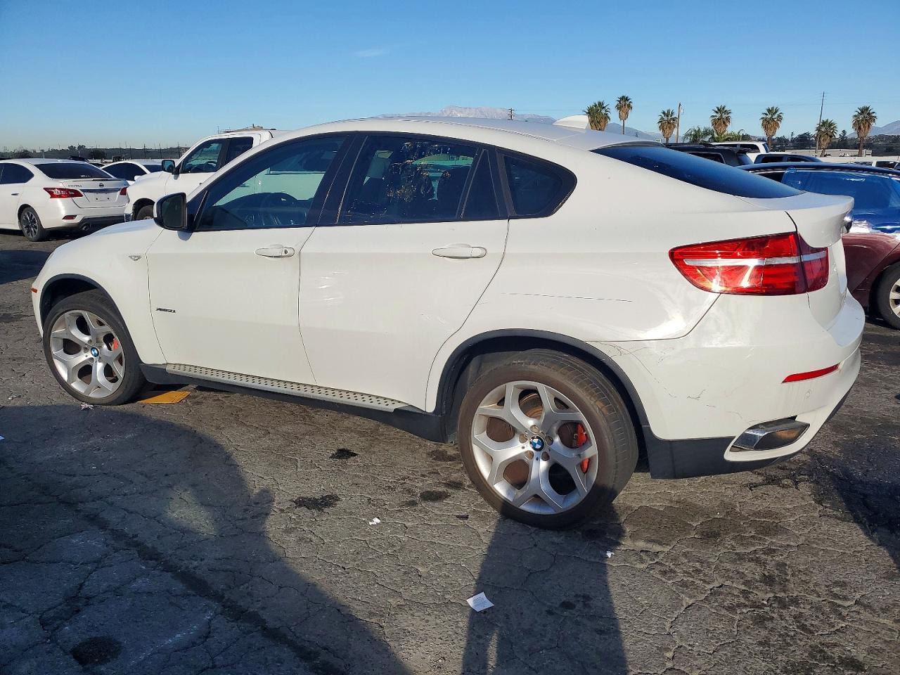 2013 BMW X6