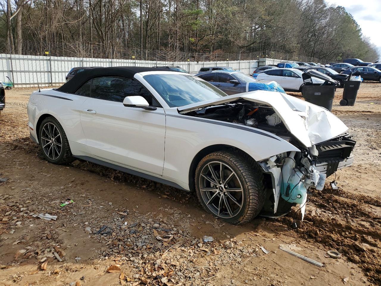 2019 FORD MUSTANG