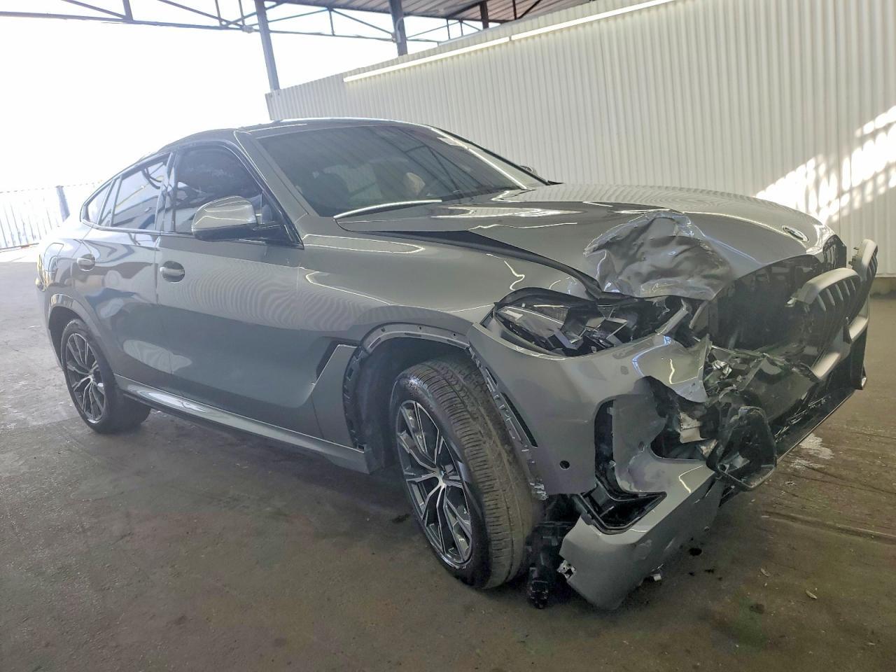 2026 BMW X6