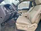 2009 FORD F-150