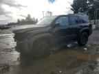 2025 TOYOTA 4Runner