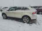 2010 LINCOLN MKX