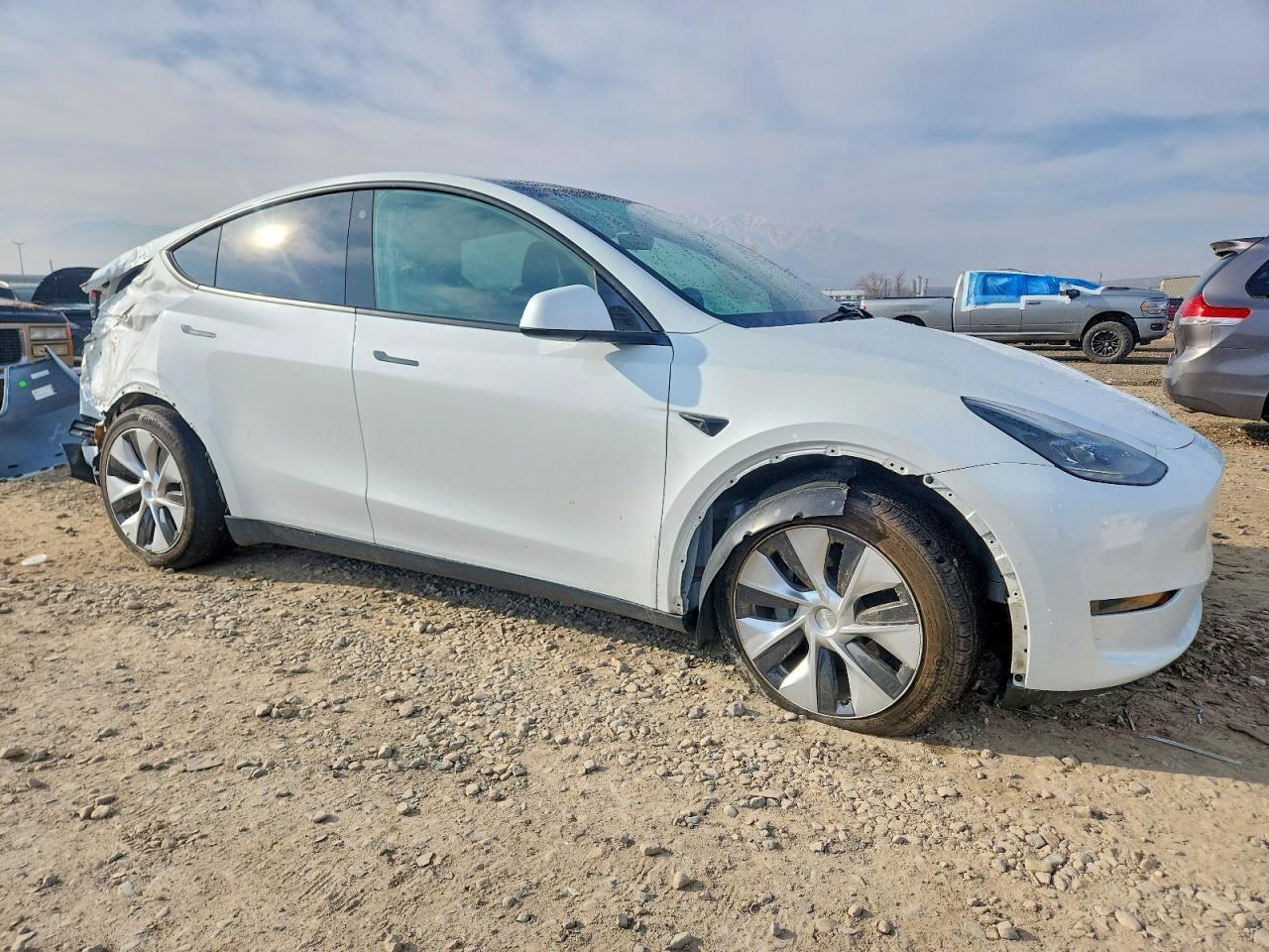 2023 TESLA MODEL Y