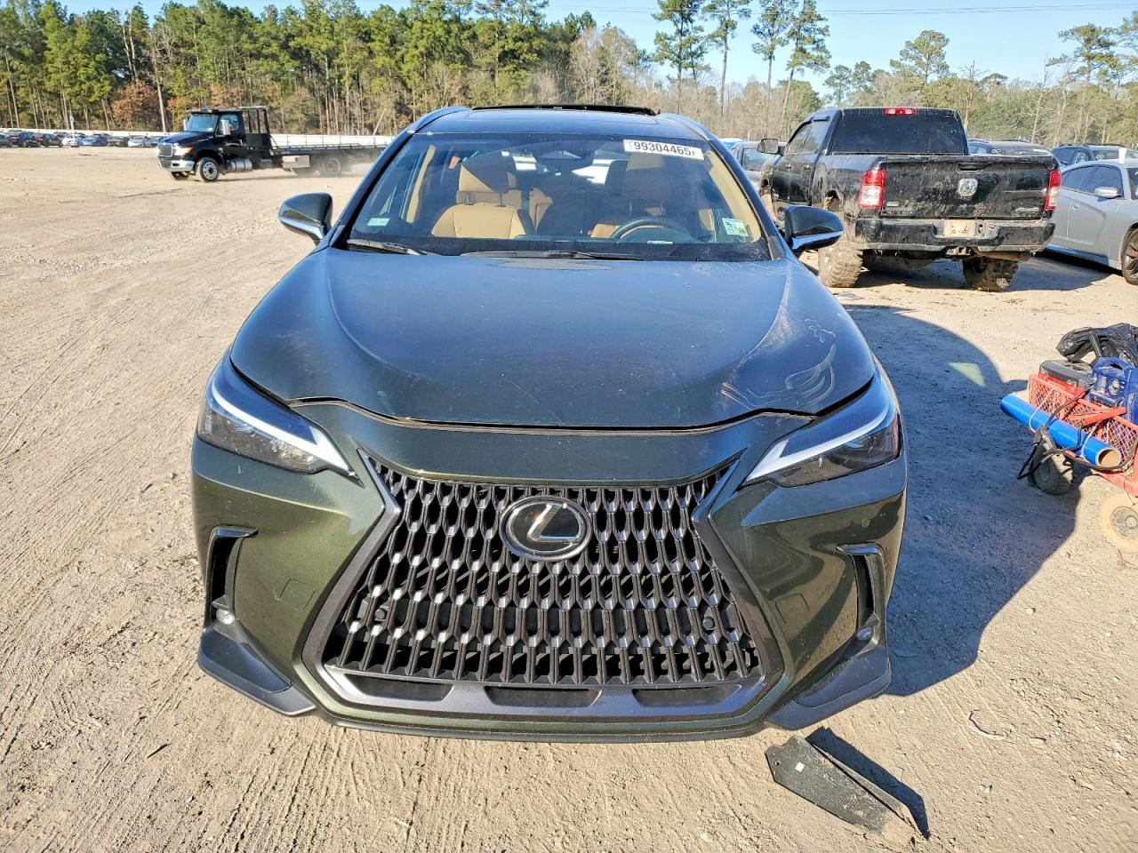 2024 LEXUS NX 250
