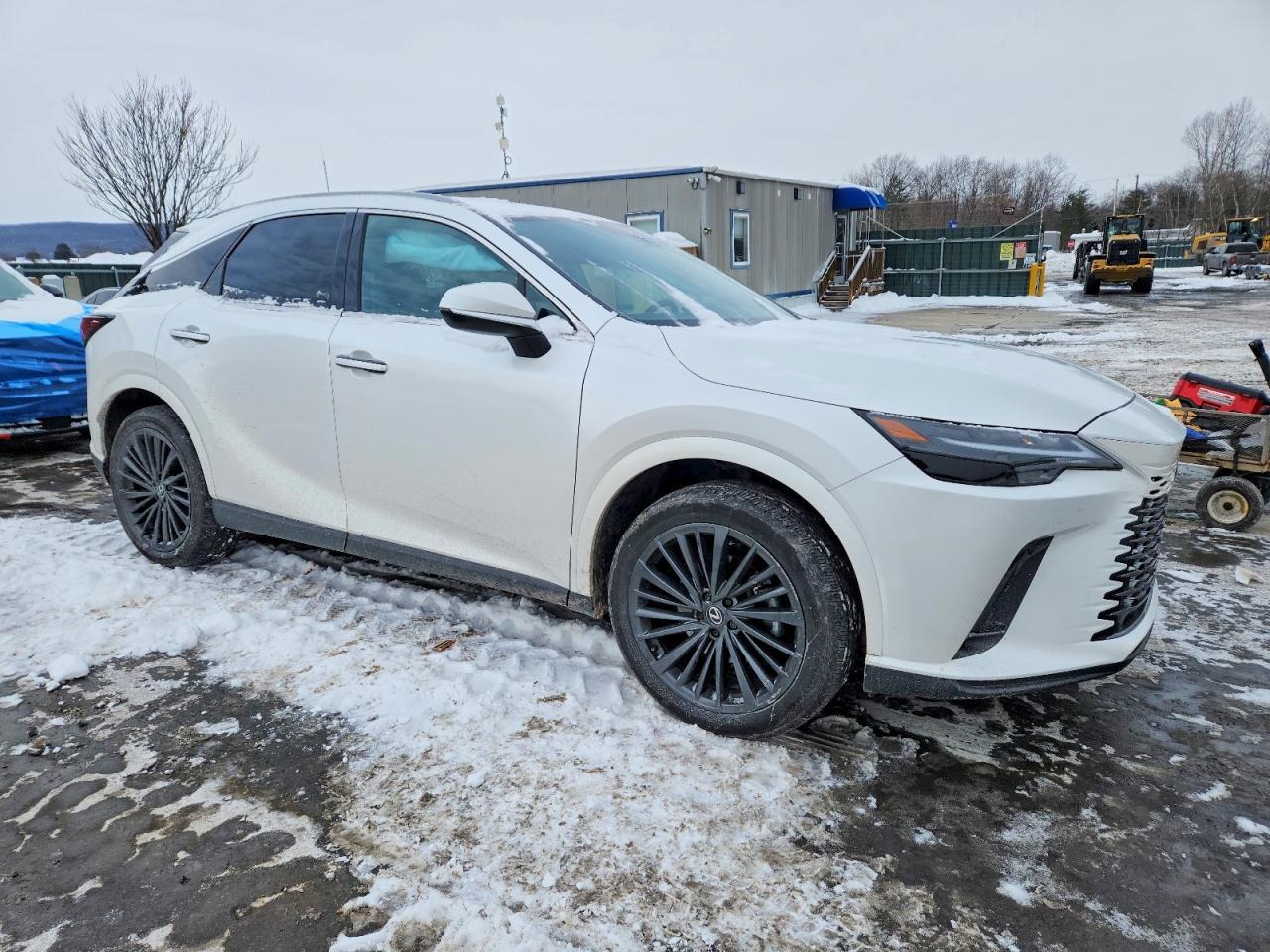 2025 LEXUS RX 350