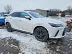 2025 LEXUS RX 350