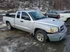 2005 DODGE Dakota