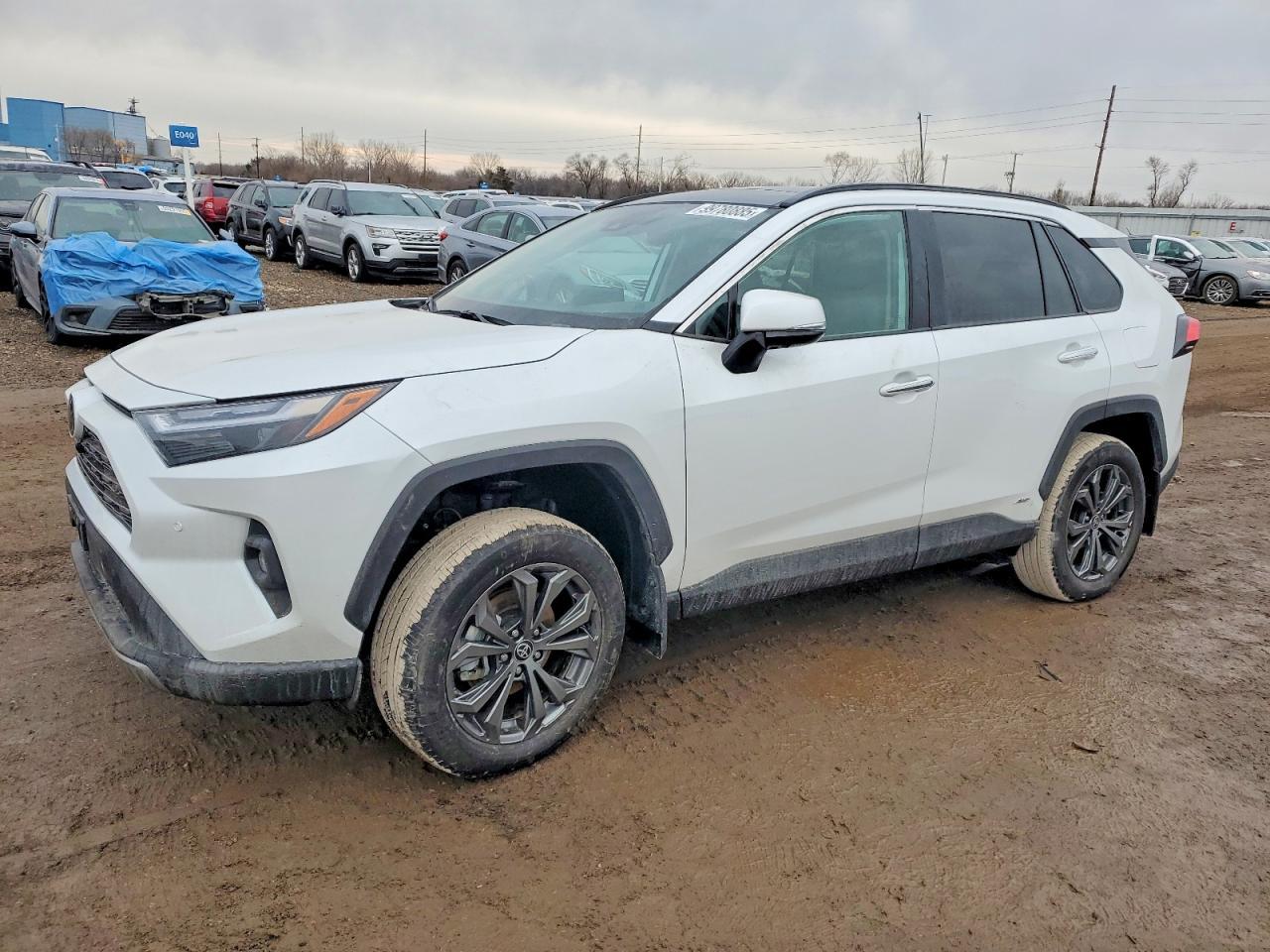 2025 TOYOTA RAV4