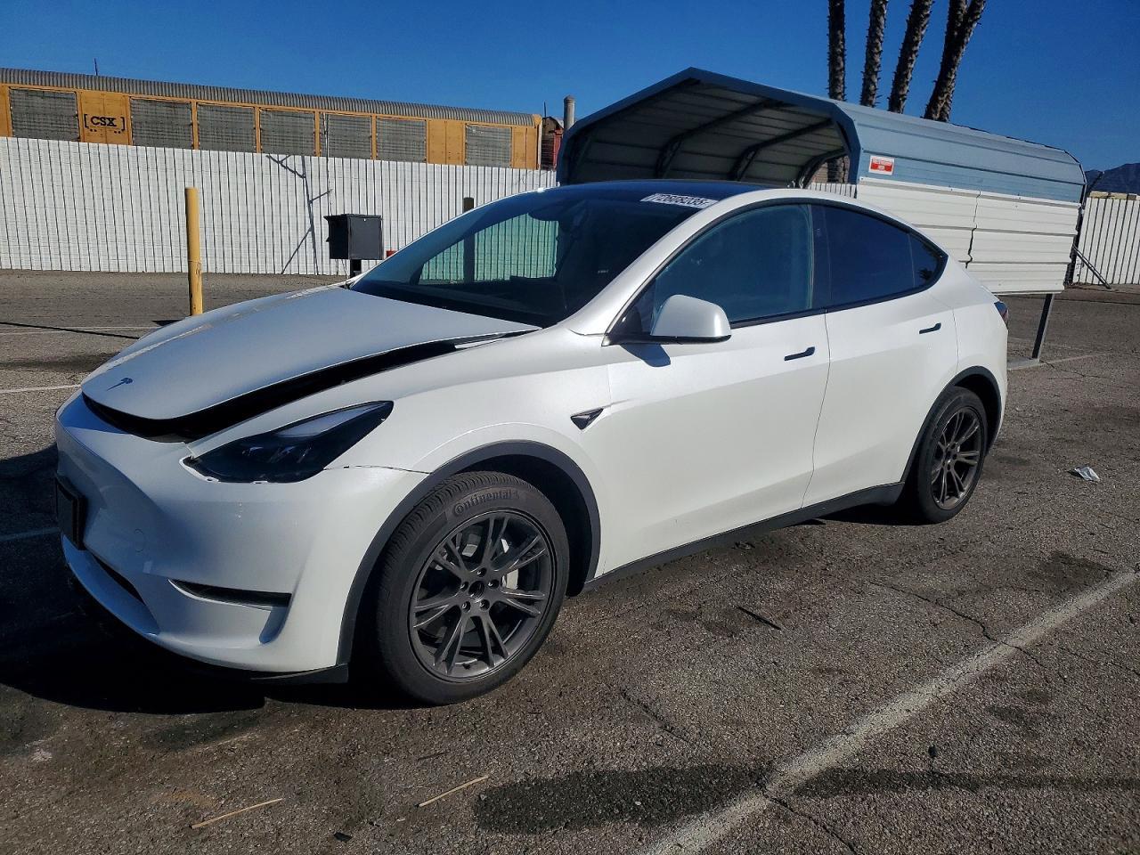 2024 TESLA MODEL Y