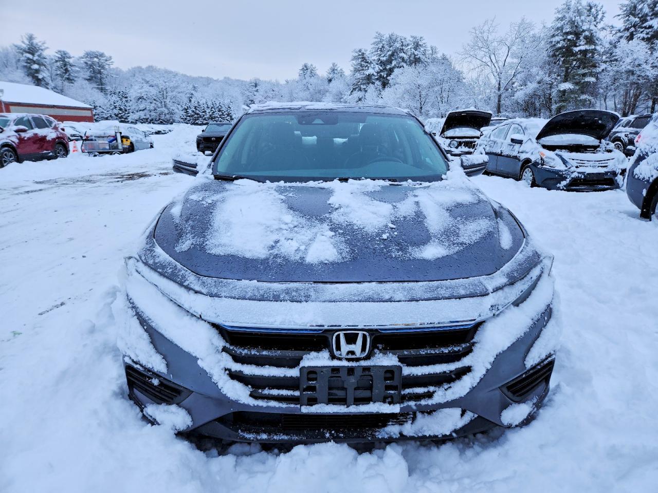 2019 HONDA Insight