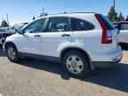 2010 HONDA CR-V