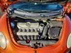 2010 VOLKSWAGEN Beetle