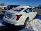 2024 CADILLAC CT5