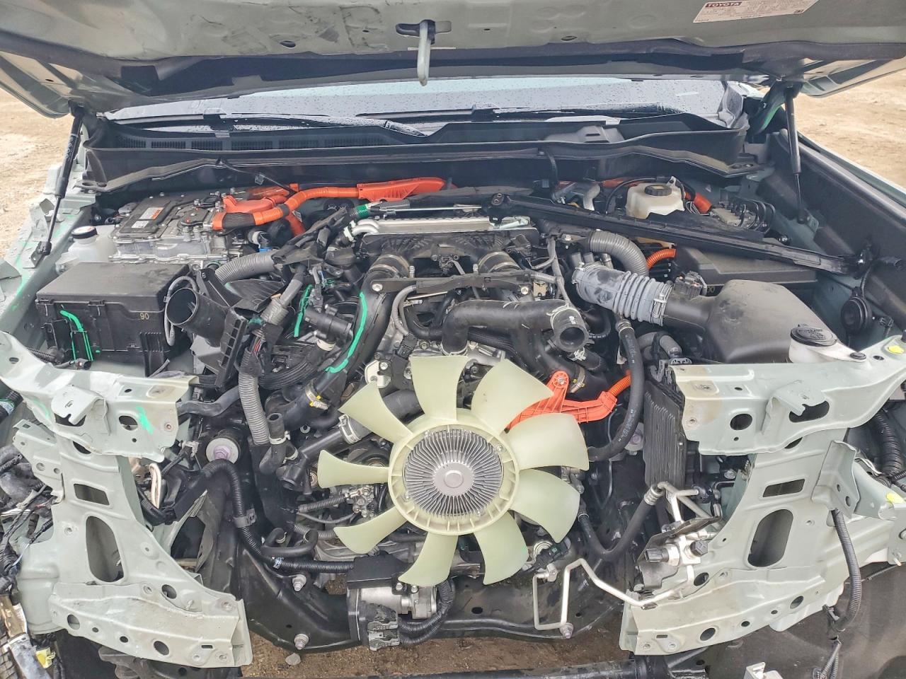 2025 TOYOTA Sequoia