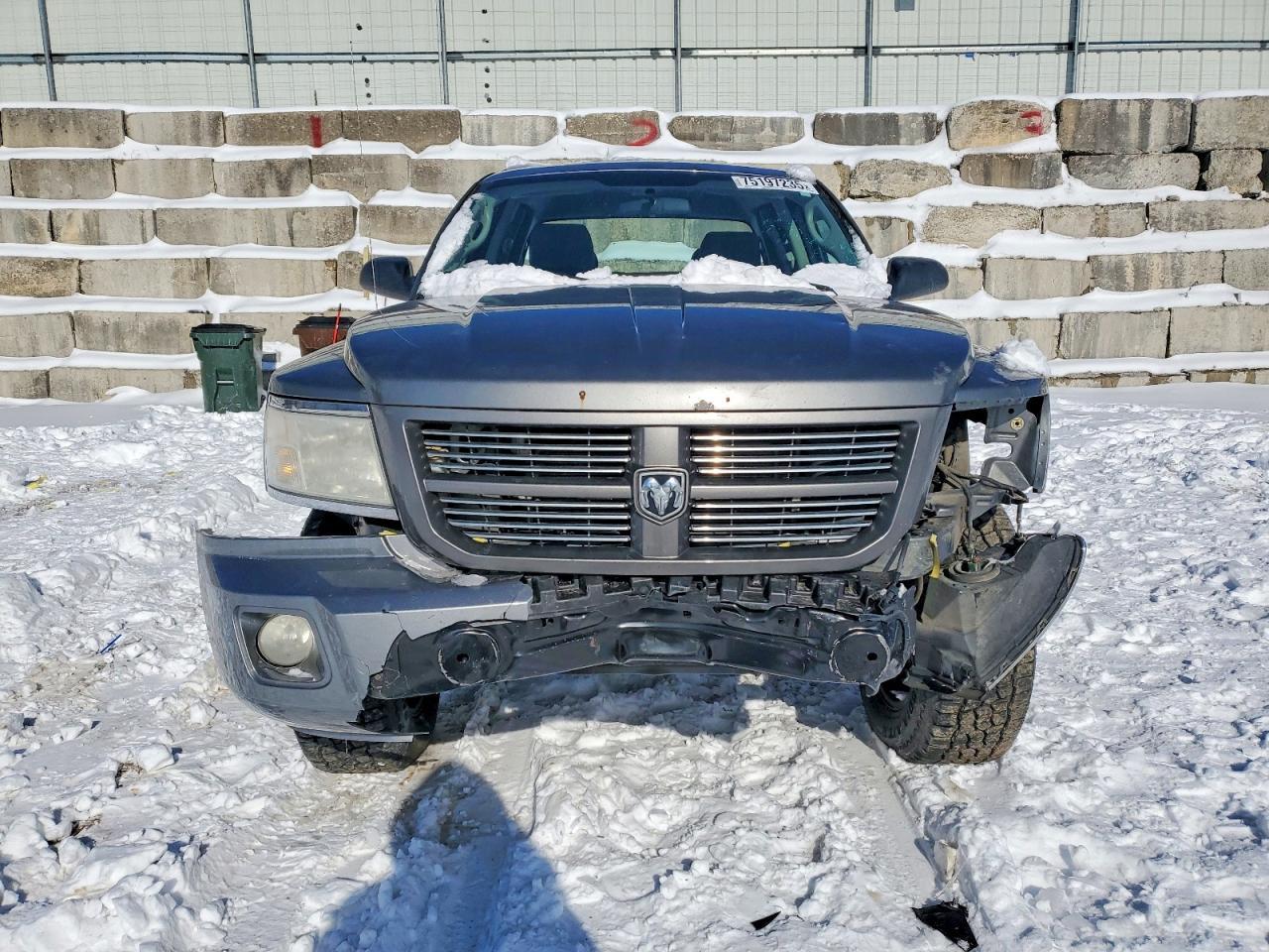 2010 DODGE Dakota