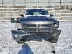2010 DODGE Dakota