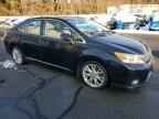 2010 LEXUS HS 250h