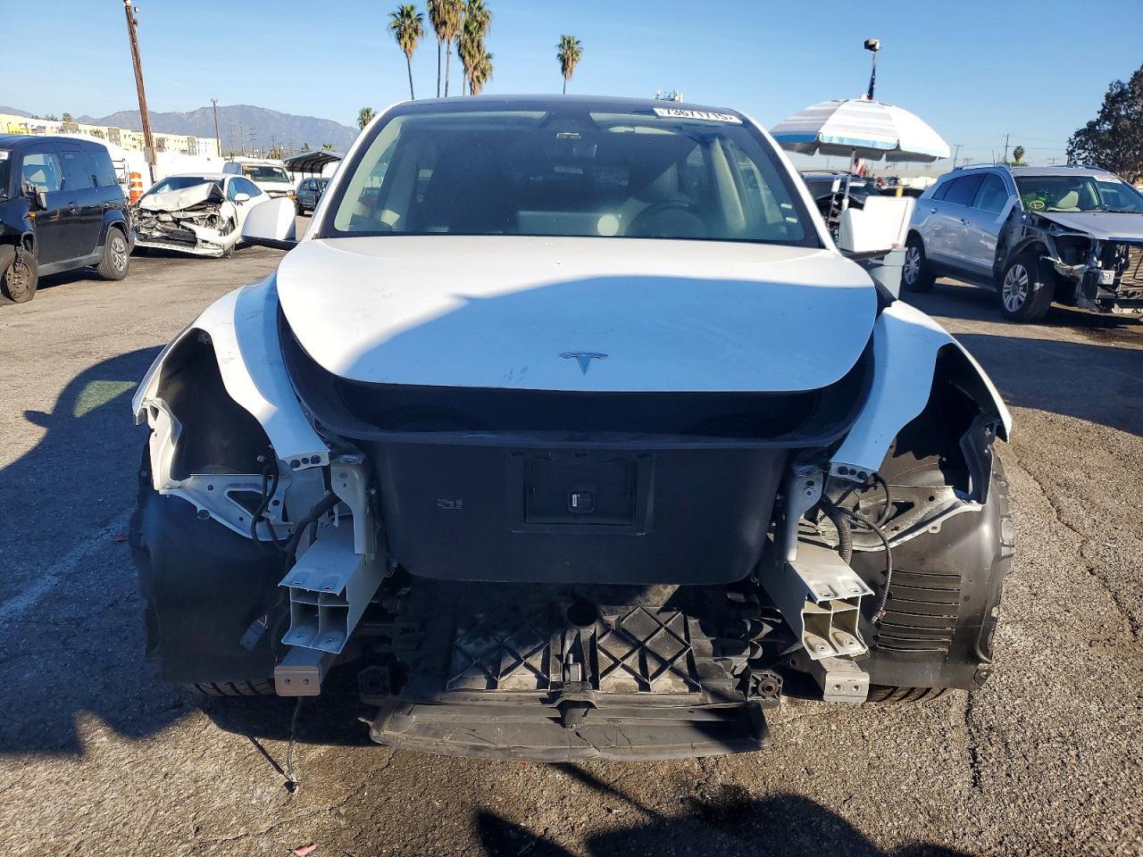 2024 TESLA MODEL Y