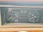 1981 VOLKSWAGEN RABBIT