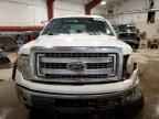 2013 FORD F-150 Lightning