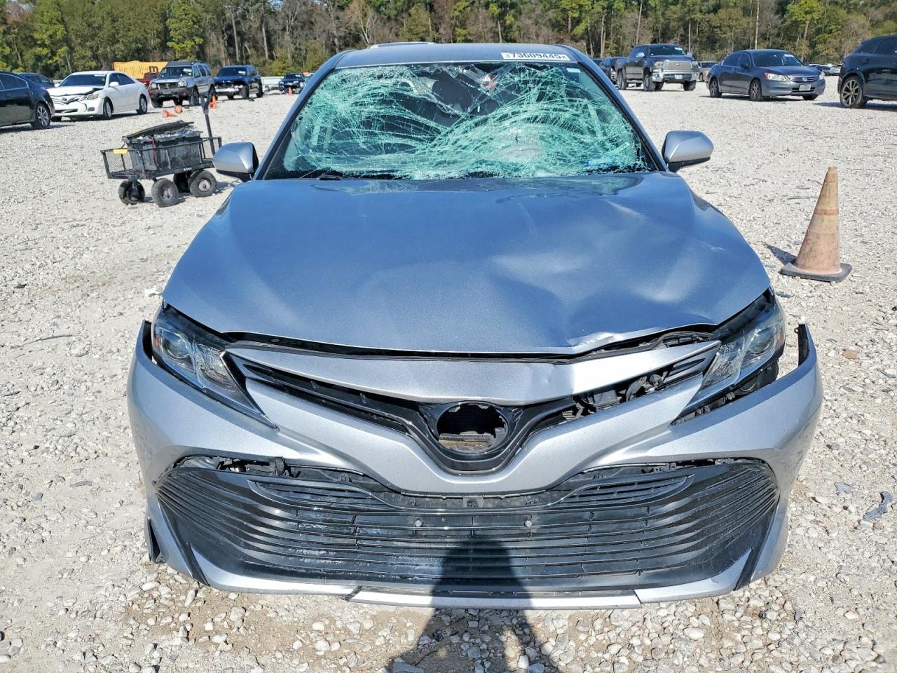 2019 TOYOTA CAMRY