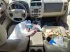 2010 FORD ESCAPE