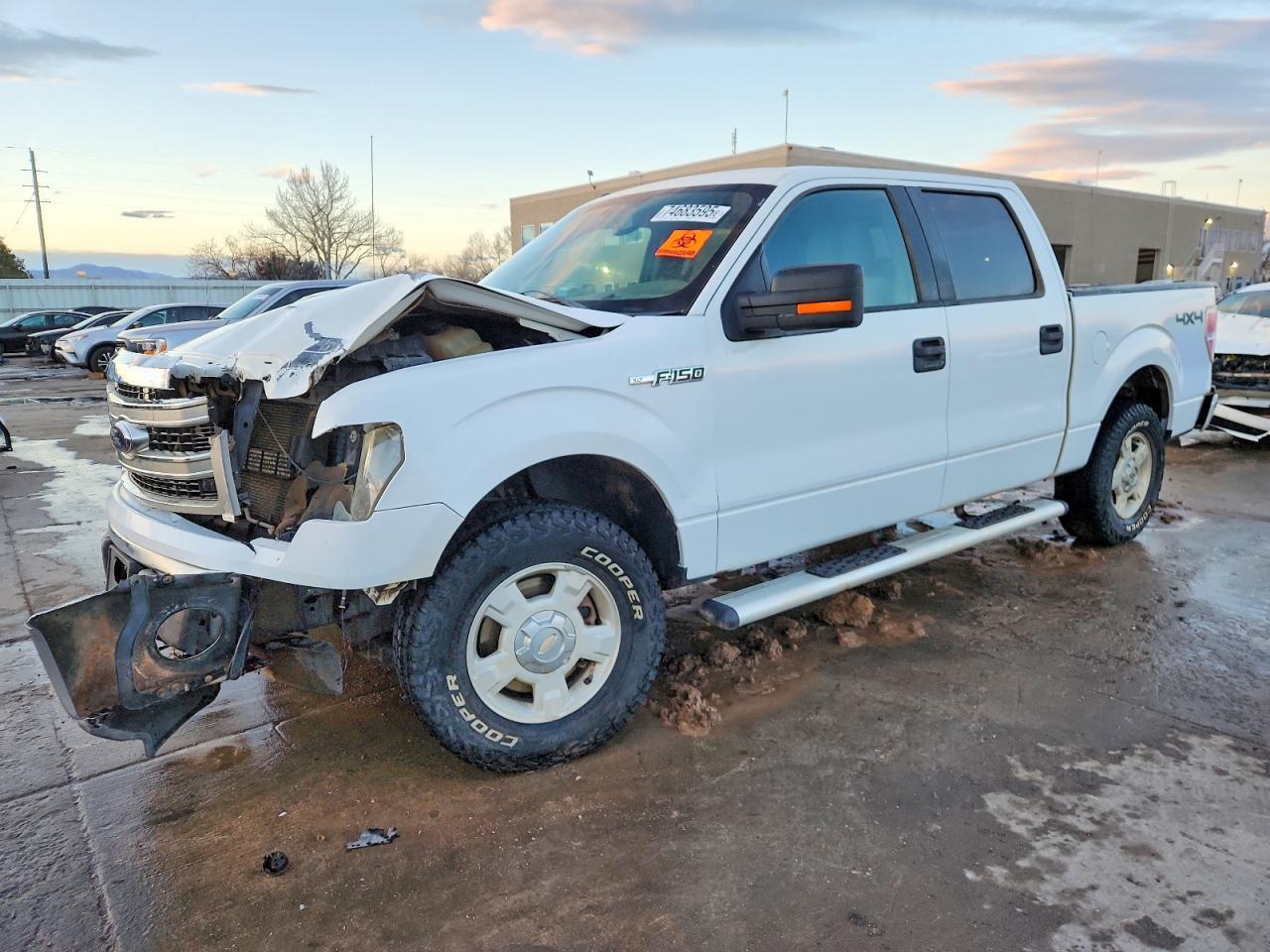 2013 FORD F-150