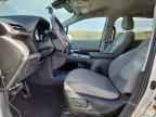 2024 TOYOTA SIENNA