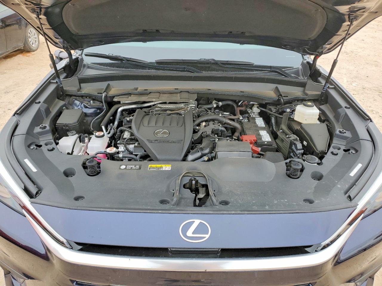 2025 LEXUS TX 350