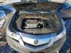 2009 ACURA TL