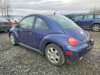 2002 VOLKSWAGEN Beetle
