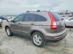 2010 HONDA CR-V