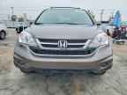 2010 HONDA CR-V