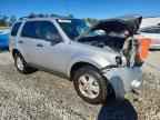 2010 FORD ESCAPE