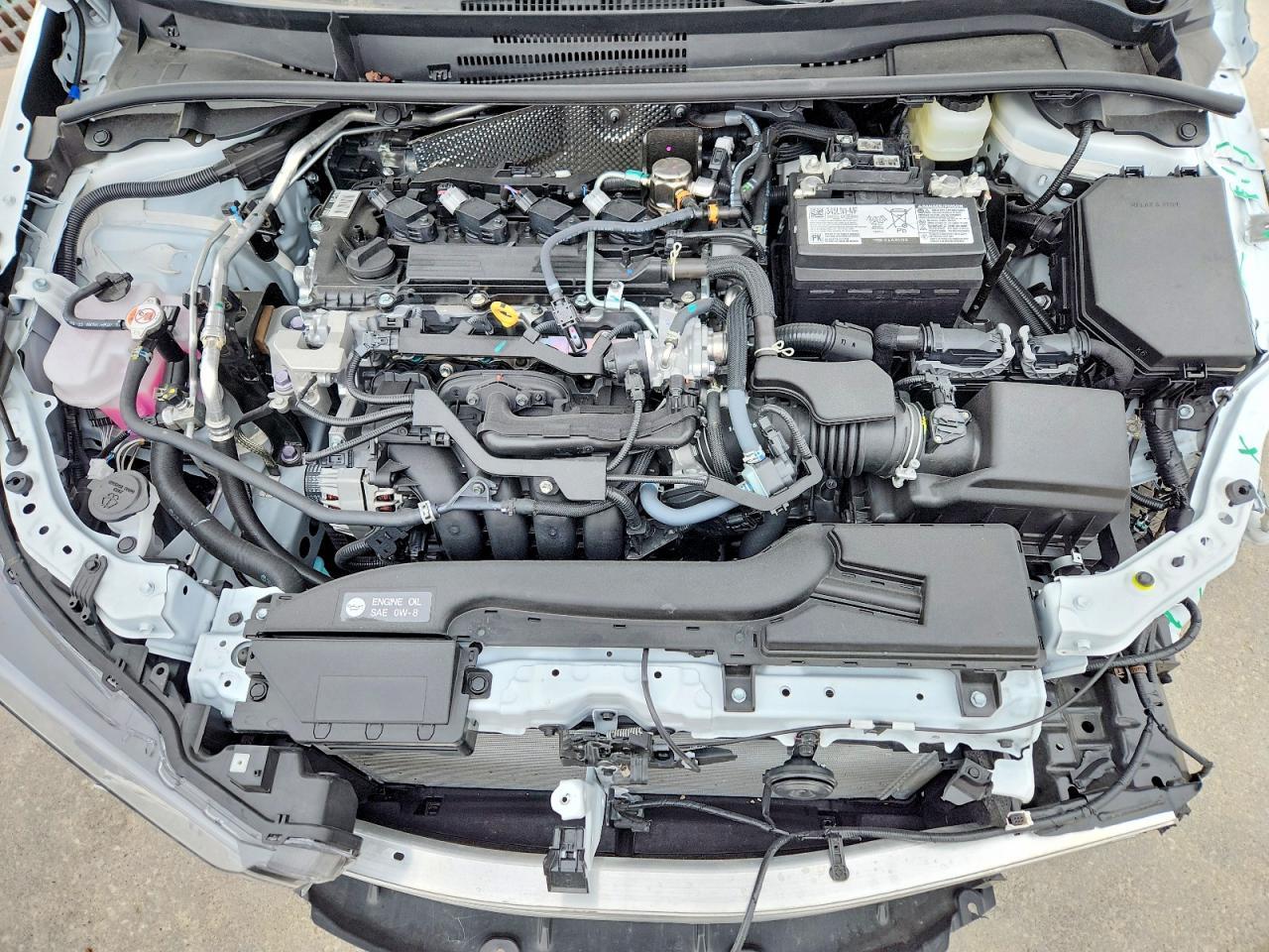 2026 TOYOTA COROLLA